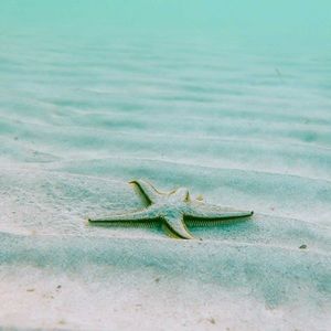 Meet your Posher, Jordyn